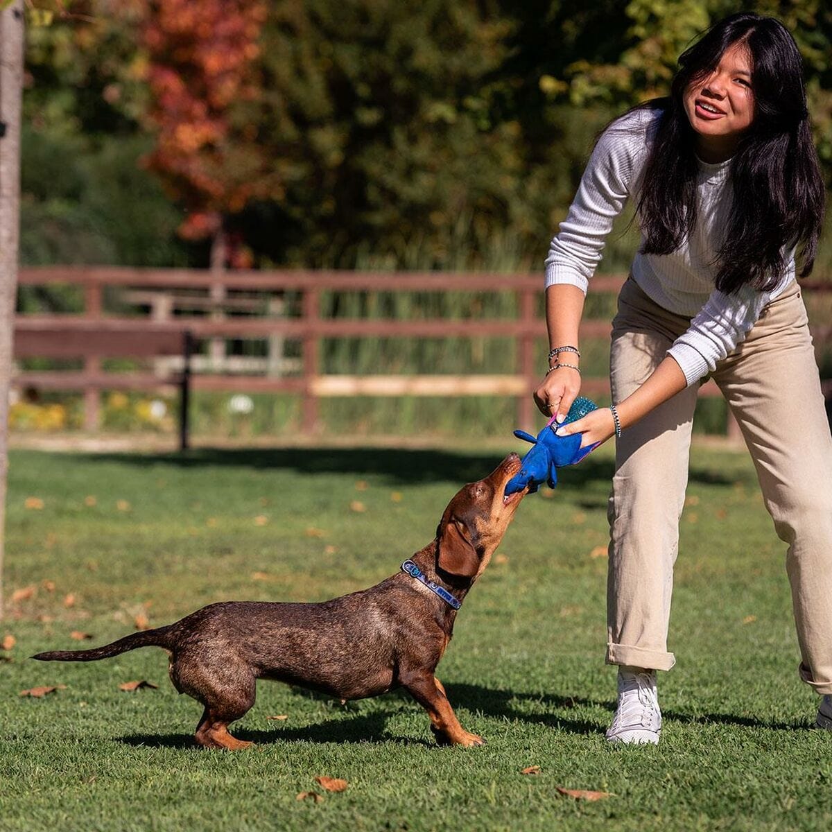 Stitch Haustier-Produkte, Hunde Hundespielzeug Stitch Blau