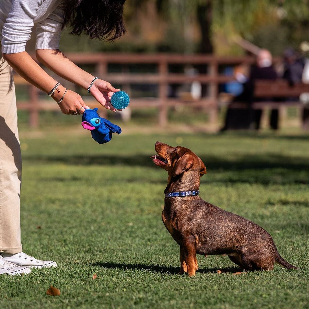 Stitch Haustier-Produkte, Hunde Hundespielzeug Stitch Blau